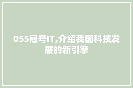055冠号IT,介绍我国科技发展的新引擎 网站开发