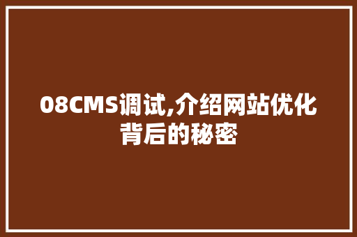 08CMS调试,介绍网站优化背后的秘密