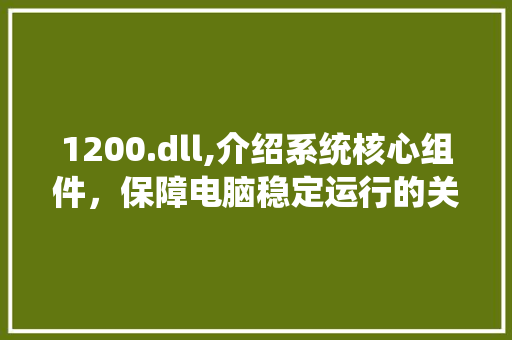 1200.dll,介绍系统核心组件，保障电脑稳定运行的关键 360搜优化