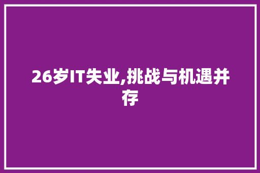 26岁IT失业,挑战与机遇并存