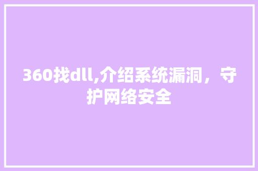 360找dll,介绍系统漏洞，守护网络安全