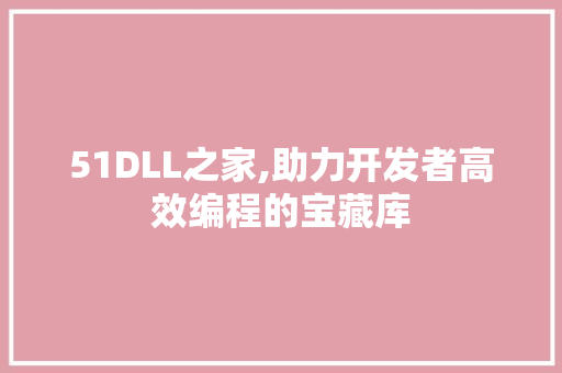 51DLL之家,助力开发者高效编程的宝藏库 网站开发
