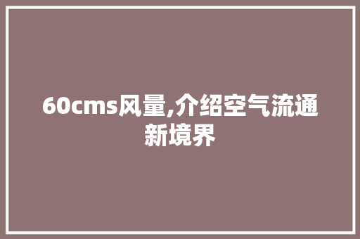 60cms风量,介绍空气流通新境界