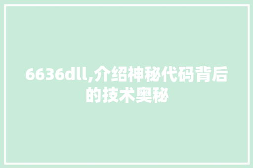 6636dll,介绍神秘代码背后的技术奥秘 seo技术