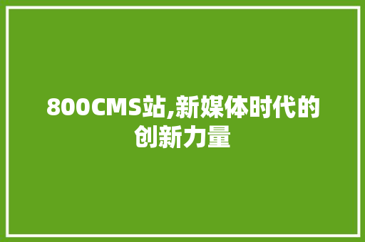 800CMS站,新媒体时代的创新力量