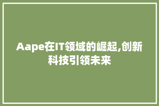 Aape在IT领域的崛起,创新科技引领未来
