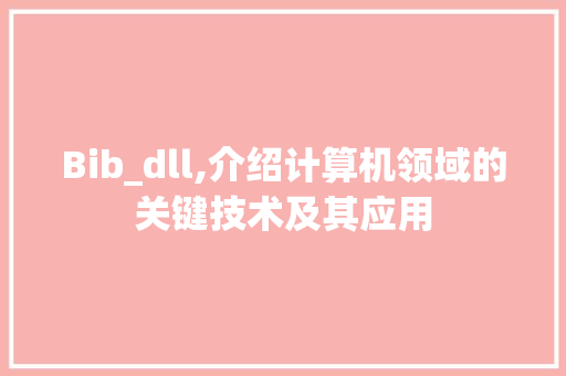 Bib_dll,介绍计算机领域的关键技术及其应用