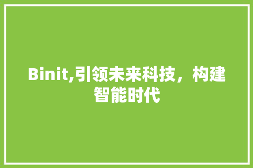 Binit,引领未来科技，构建智能时代