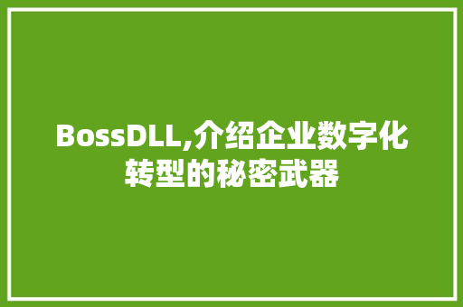 BossDLL,介绍企业数字化转型的秘密武器