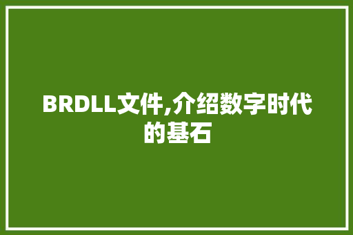 BRDLL文件,介绍数字时代的基石