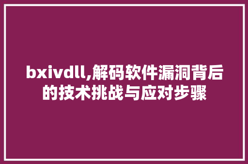 bxivdll,解码软件漏洞背后的技术挑战与应对步骤
