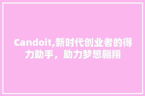 Candoit,新时代创业者的得力助手，助力梦想翱翔