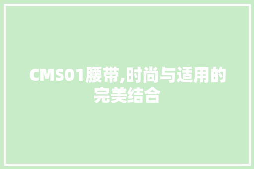 CMS01腰带,时尚与适用的完美结合 AI技术学习