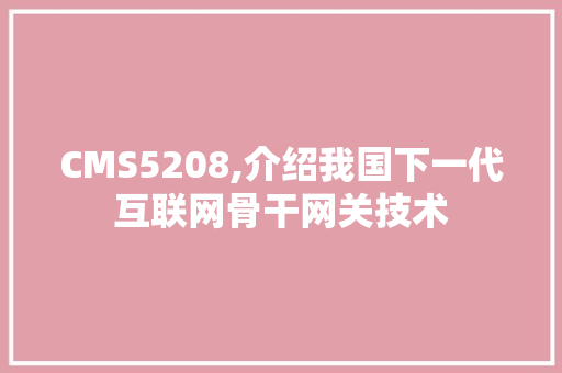 CMS5208,介绍我国下一代互联网骨干网关技术