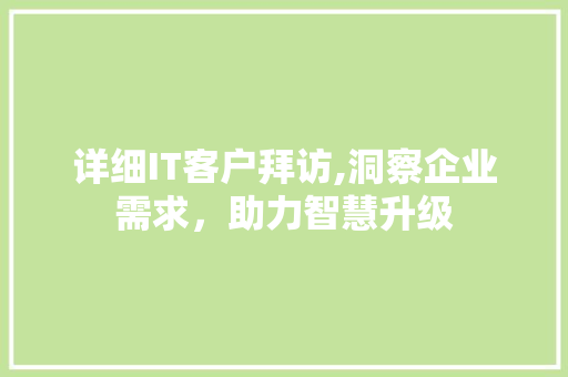 详细IT客户拜访,洞察企业需求，助力智慧升级