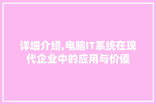 详细介绍,电脑IT系统在现代企业中的应用与价值