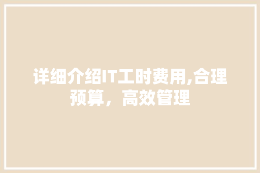 详细介绍IT工时费用,合理预算，高效管理