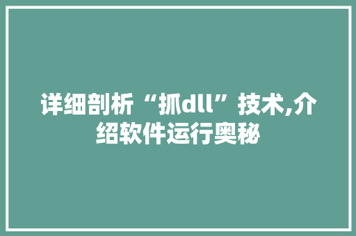 详细剖析“抓dll”技术,介绍软件运行奥秘 360搜优化