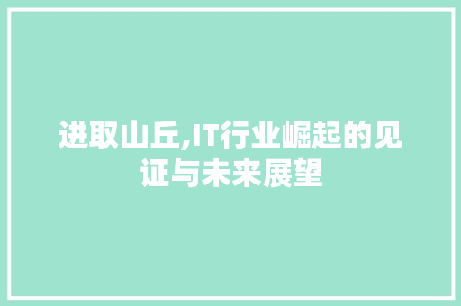 进取山丘,IT行业崛起的见证与未来展望 360搜优化