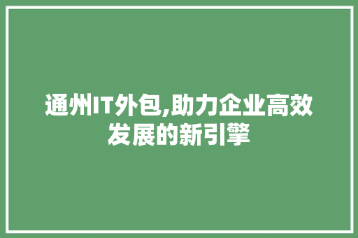 通州IT外包,助力企业高效发展的新引擎