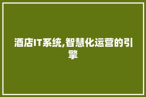 酒店IT系统,智慧化运营的引擎 英文谷歌算法