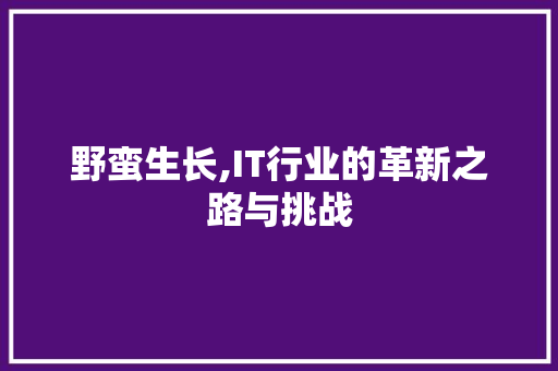 野蛮生长,IT行业的革新之路与挑战 AI技术学习