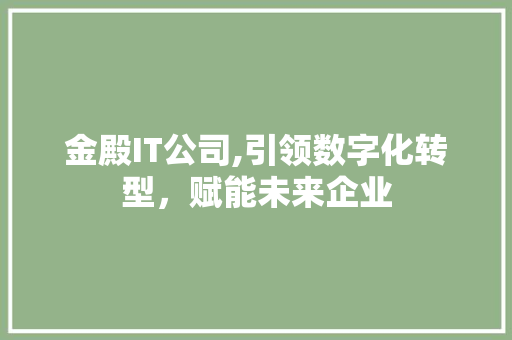 金殿IT公司,引领数字化转型，赋能未来企业
