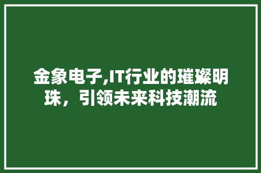金象电子,IT行业的璀璨明珠，引领未来科技潮流