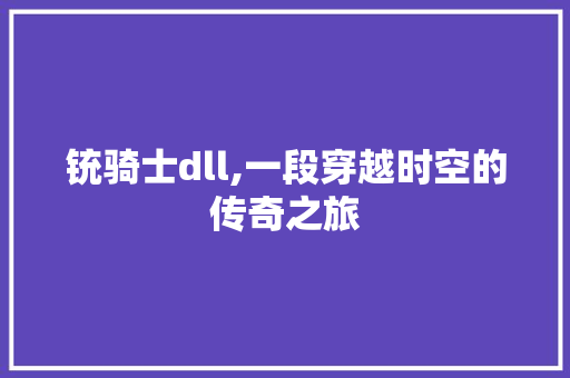 铳骑士dll,一段穿越时空的传奇之旅