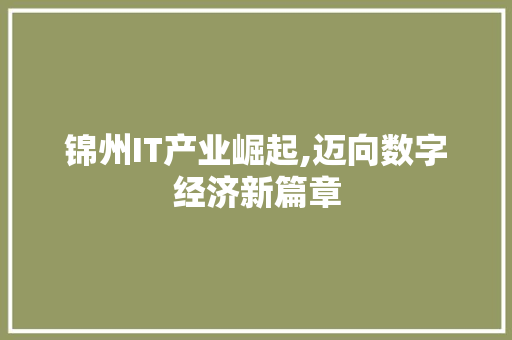 锦州IT产业崛起,迈向数字经济新篇章 seo技术