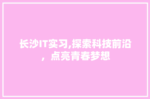长沙IT实习,探索科技前沿，点亮青春梦想 小程序开发