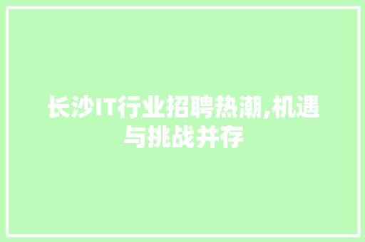 长沙IT行业招聘热潮,机遇与挑战并存 AI技术学习