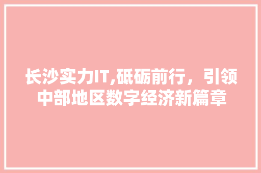 长沙实力IT,砥砺前行，引领中部地区数字经济新篇章 360搜优化