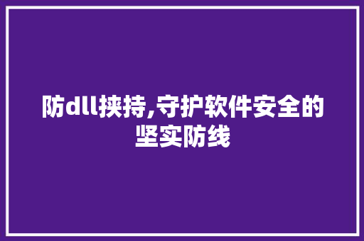 防dll挟持,守护软件安全的坚实防线 seo技术
