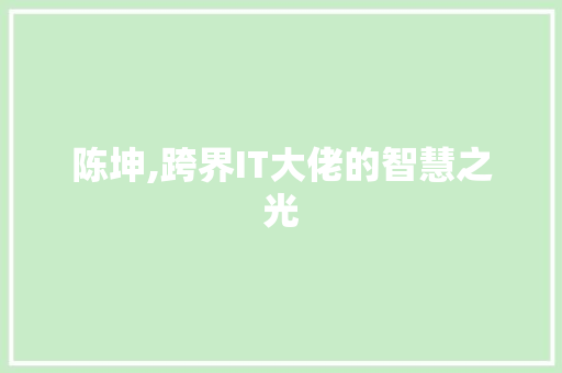 陈坤,跨界IT大佬的智慧之光