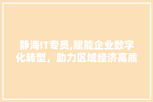 静海IT专员,赋能企业数字化转型，助力区域经济高质量发展 网站开发