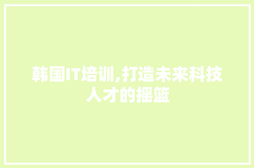 韩国IT培训,打造未来科技人才的摇篮