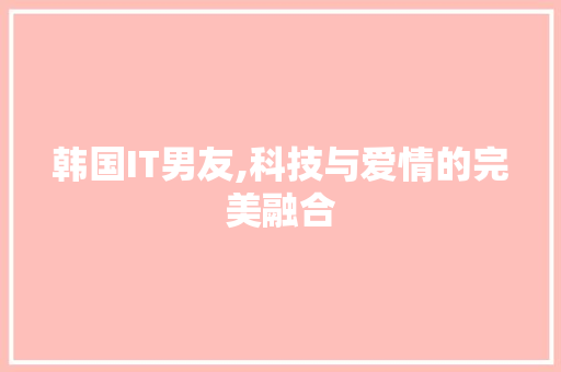 韩国IT男友,科技与爱情的完美融合