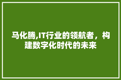 马化腾,IT行业的领航者，构建数字化时代的未来 小程序开发