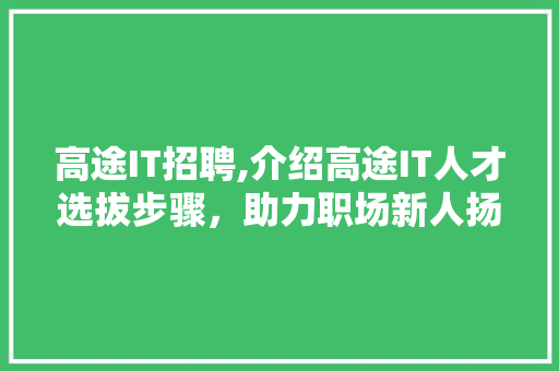 高途IT招聘,介绍高途IT人才选拔步骤，助力职场新人扬帆起航 搜狗优化