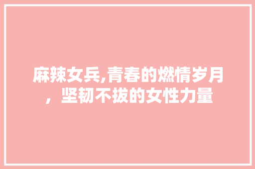 麻辣女兵,青春的燃情岁月，坚韧不拔的女性力量 网站优化