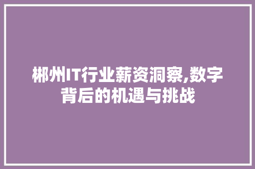 郴州IT行业薪资洞察,数字背后的机遇与挑战 seo技术