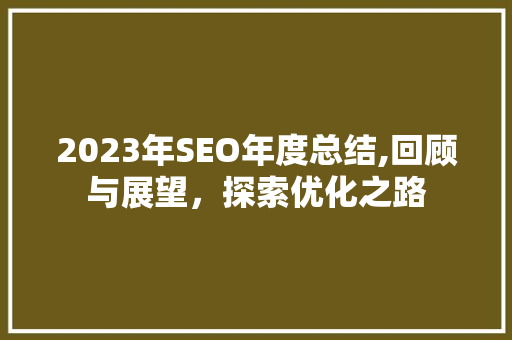 2023年SEO年度总结,回顾与展望，探索优化之路