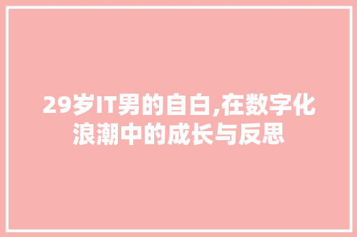 29岁IT男的自白,在数字化浪潮中的成长与反思 网站开发