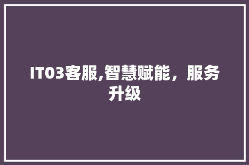 IT03客服,智慧赋能，服务升级