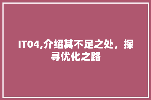 IT04,介绍其不足之处，探寻优化之路