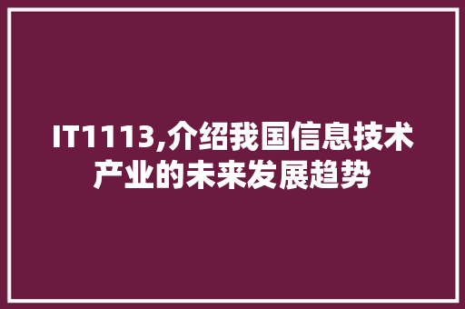 IT1113,介绍我国信息技术产业的未来发展趋势 seo技术