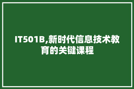 IT501B,新时代信息技术教育的关键课程