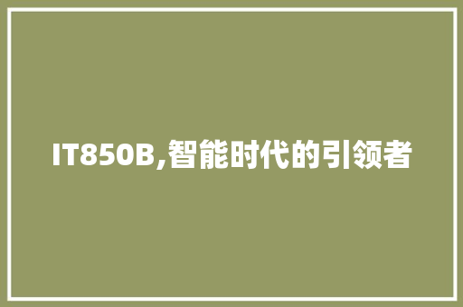 IT850B,智能时代的引领者 英文谷歌算法