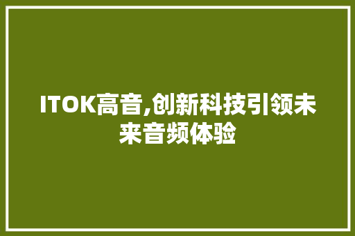 ITOK高音,创新科技引领未来音频体验